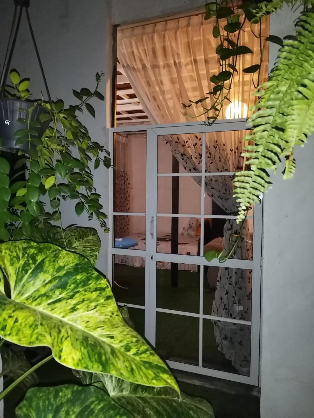 Ella Way Resort Peradeniya Exteriér fotografie